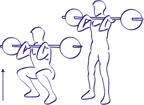 MUSCULATION, EXERCICES, CUISSES : squat avant